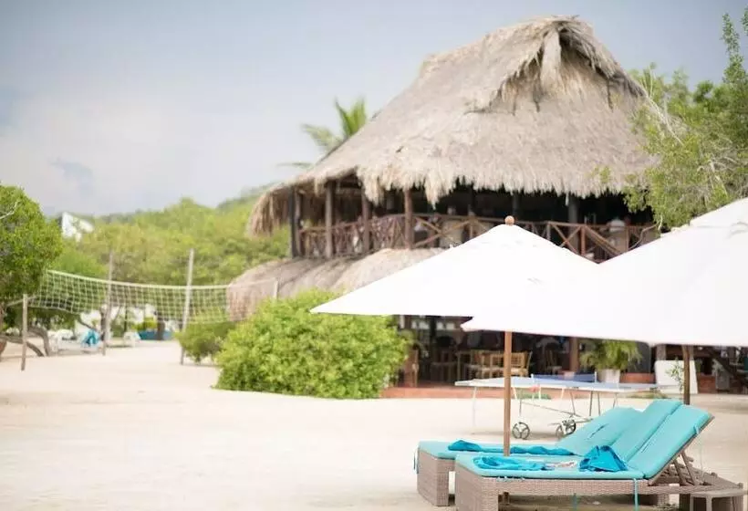 Fotos del hotel Aura  Barú:  8