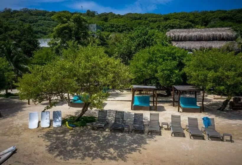 Fotos del hotel Aura  Barú:  22