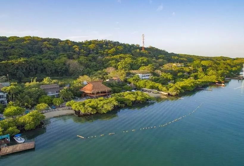 Fotos del hotel Aura  Barú:  21