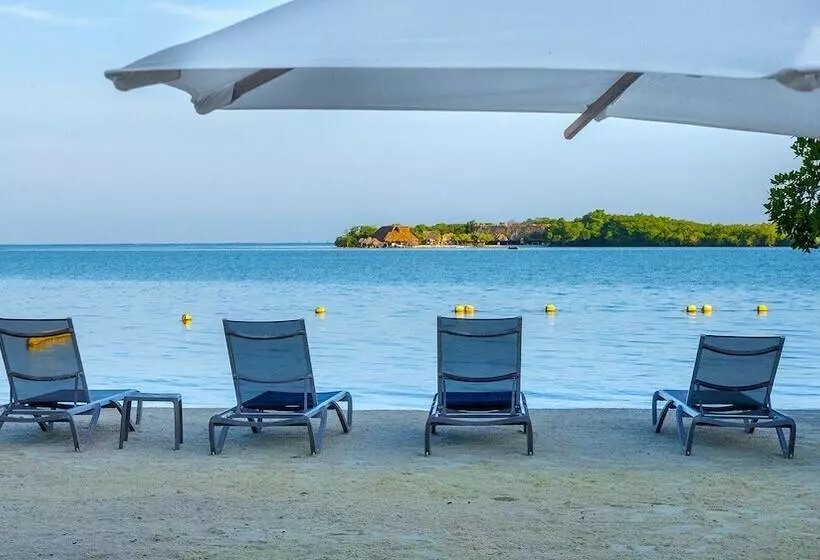 Fotos del hotel Aura  Barú:  18