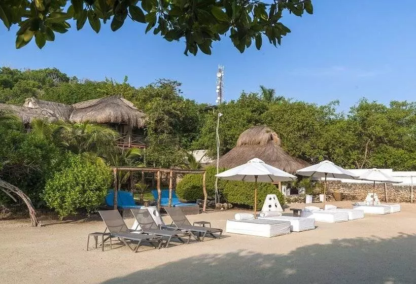 Fotos del hotel Aura  Barú:  17