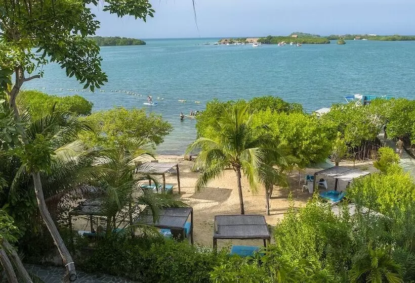 Fotos del hotel Aura  Barú:  19