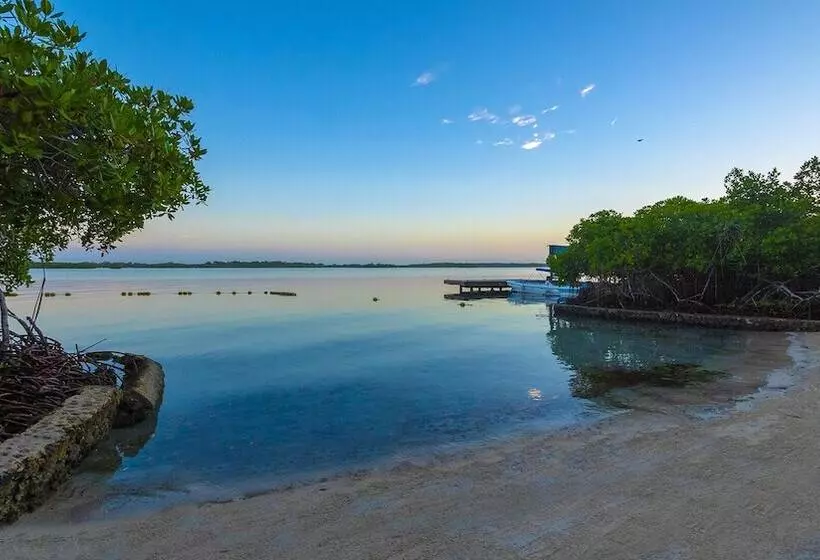 Fotos del hotel Aura  Barú:  23