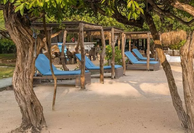 Fotos del hotel Aura  Barú:  4