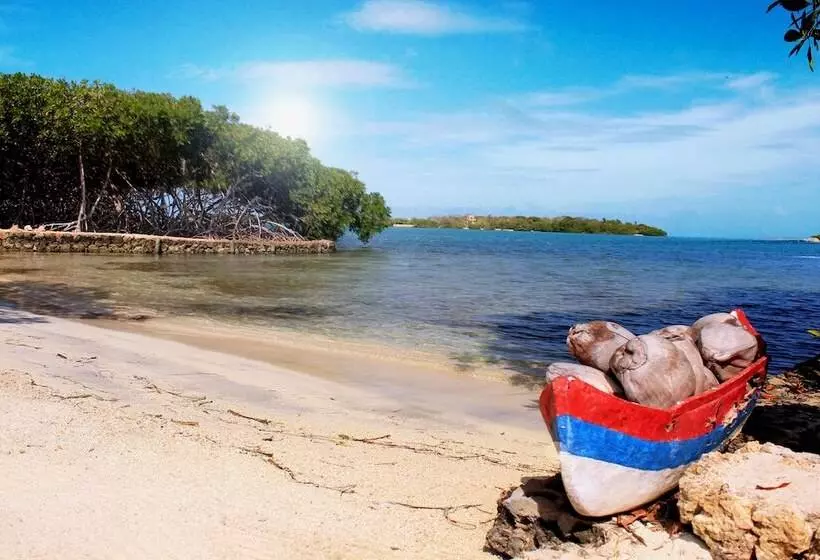 Fotos del hotel Aura  Barú:  24