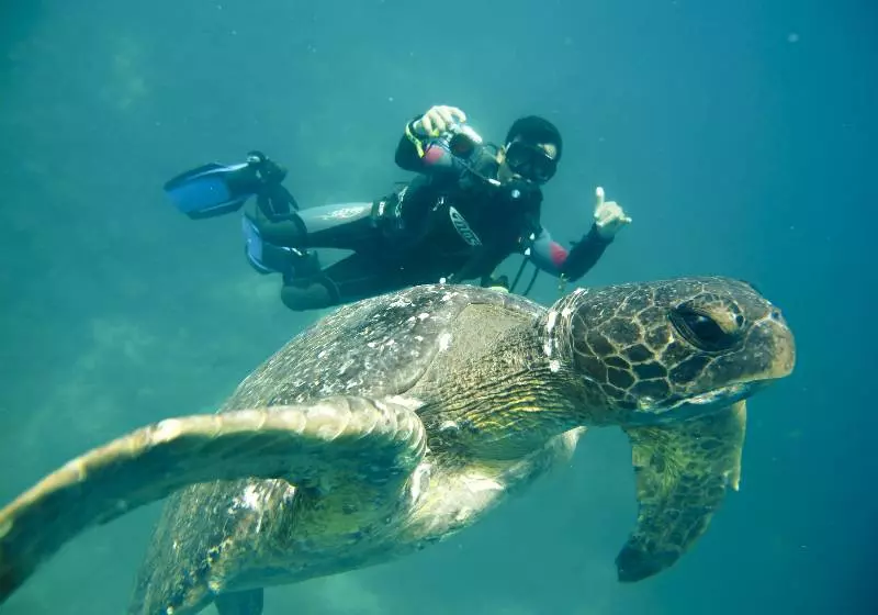 Fotos del hotel Finch Bay Galapagos:  4