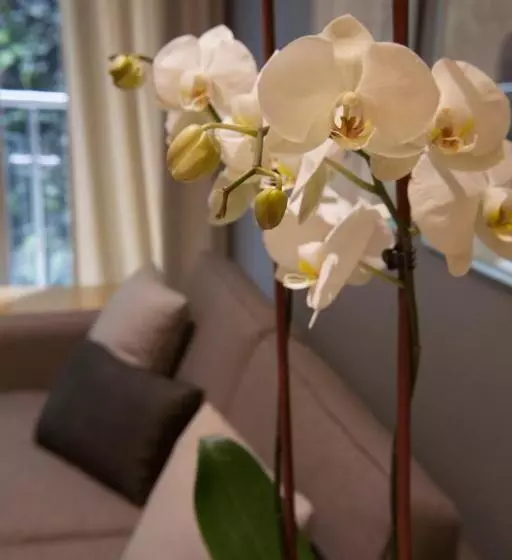 Fotos del hotel Pennsylvania Suites:  13