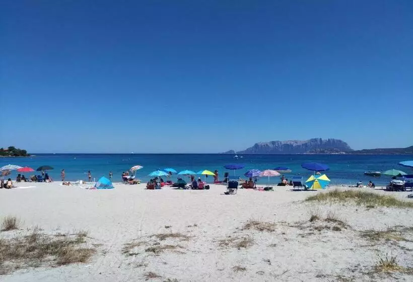 Fotos del hotel Abbaruja:  10