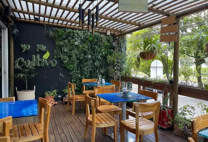 Fotos del hotel Bolivariana Plaza:  14