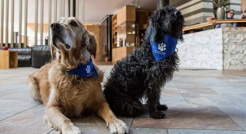 Fotos del hotel Falkensteiner Hotel Schladming:  10