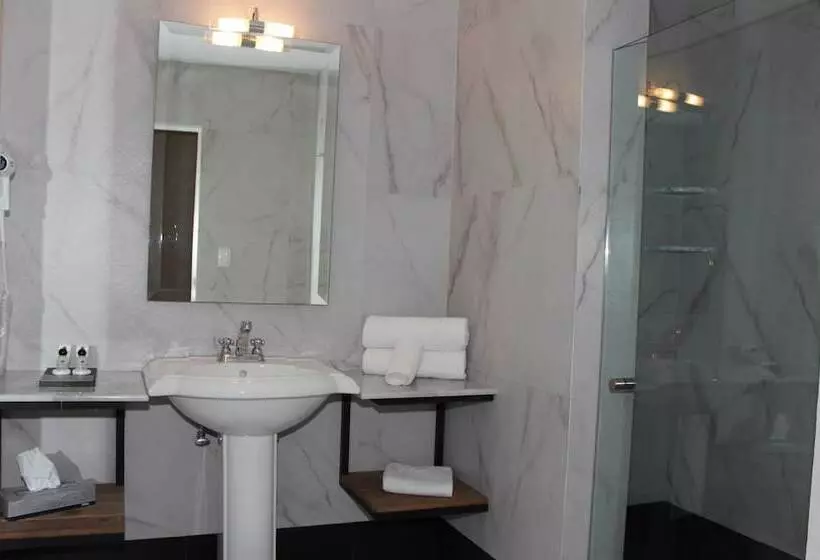 Fotos del hotel Plaza Revolución:  7