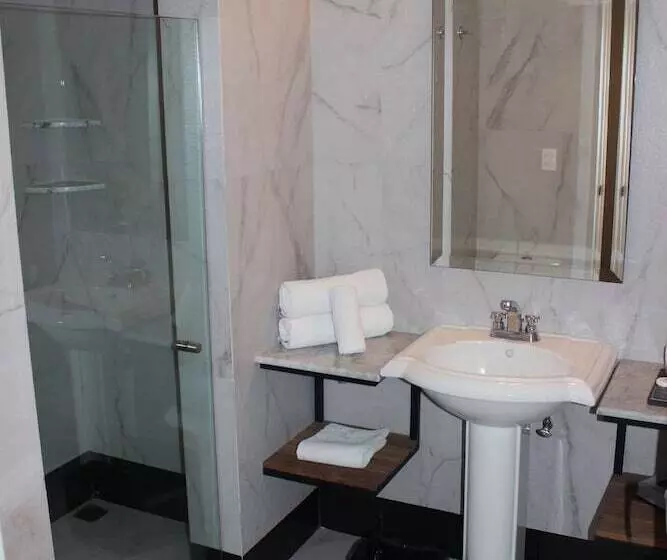 Fotos del hotel Plaza Revolución:  19