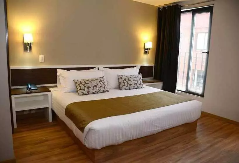 Fotos del hotel Plaza Revolución:  18