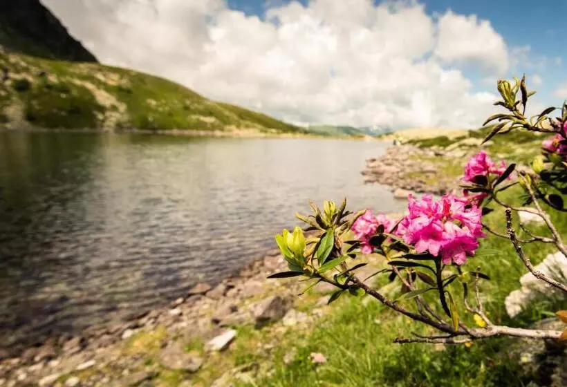 Fotos del hotel Völserhof:  9