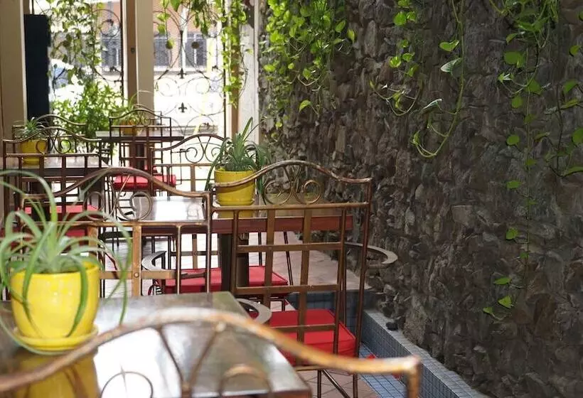 Fotos del hotel Casa Del árbol:  3