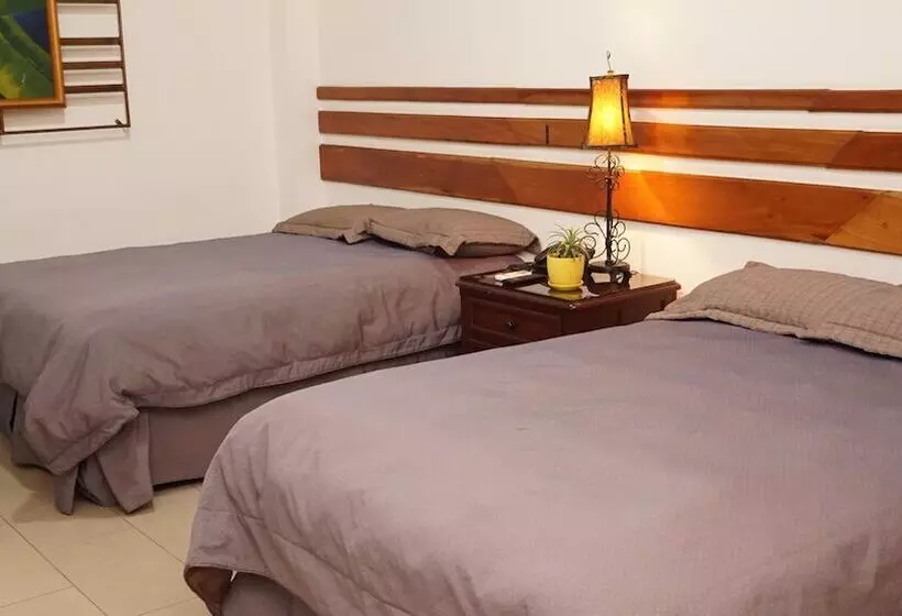 Fotos del hotel Casa Del árbol:  5