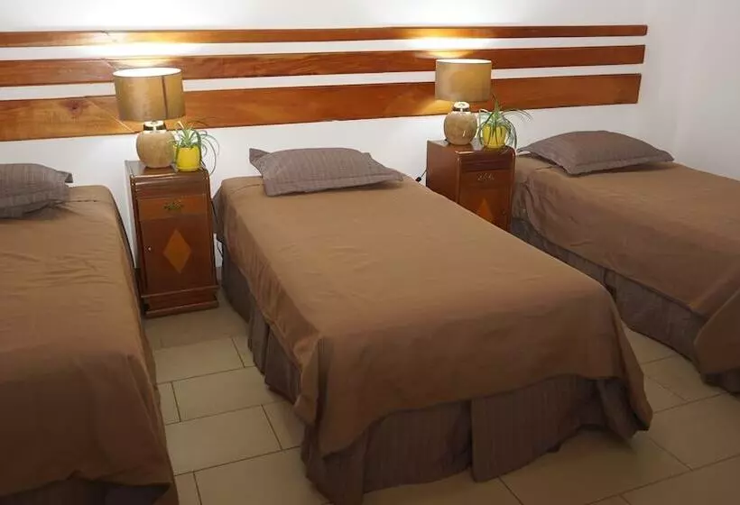 Fotos del hotel Casa Del árbol:  11