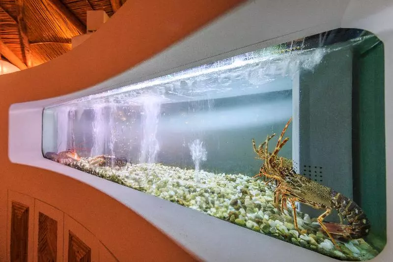 Fotos del hotel Encosta Do Lago:  10