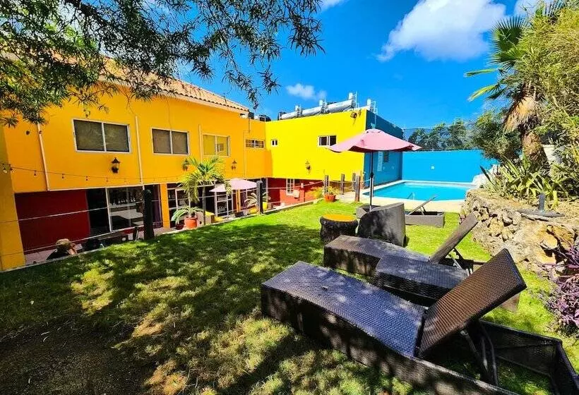 Fotos del hotel Altamont West:  3