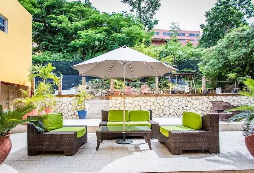 Fotos del hotel Altamont West:  6