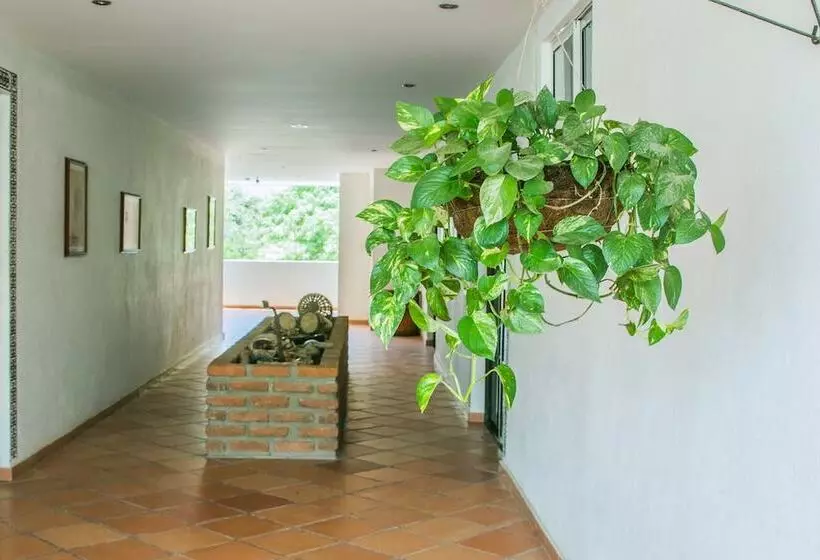 Fotos del hotel Kikuxtah:  20