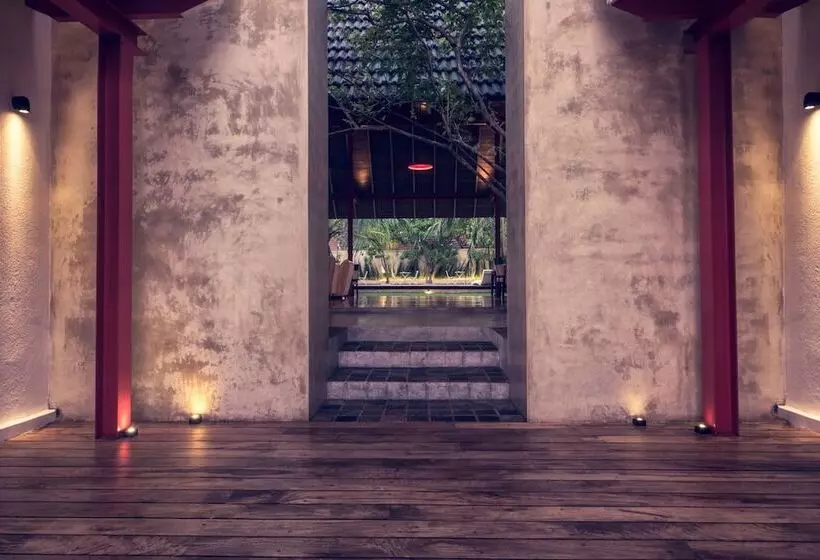 Fotos del hotel Pledge3:  11