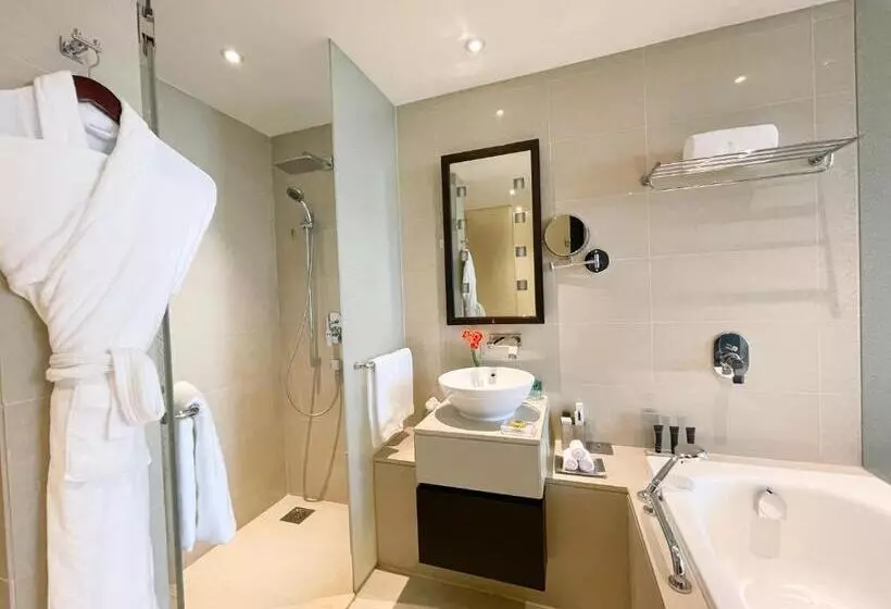 Fotos del hotel Southern Sun Abu Dhabi:  13