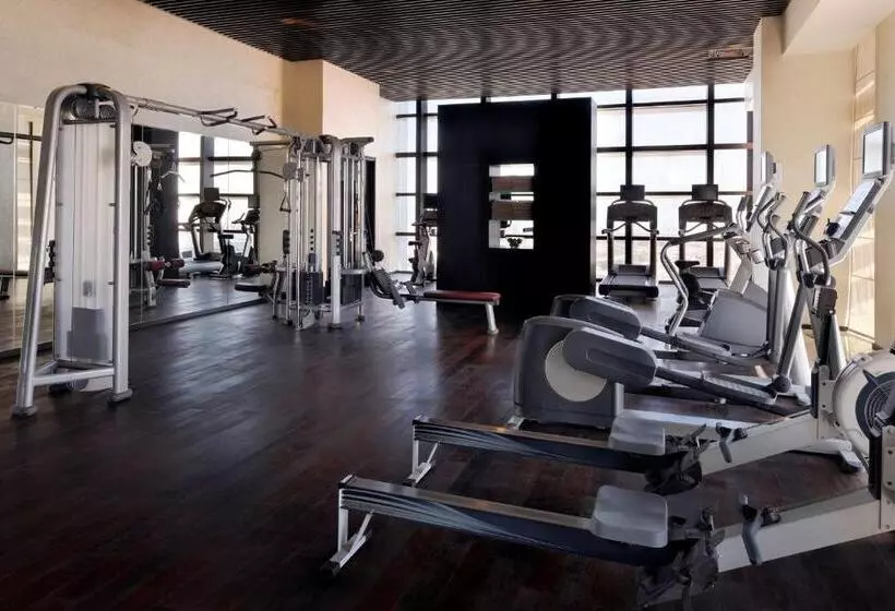 Fotos del hotel Southern Sun Abu Dhabi:  3