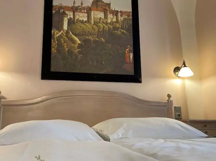 Fotos del hotel U Cervene Zidle  Red Chair:  21