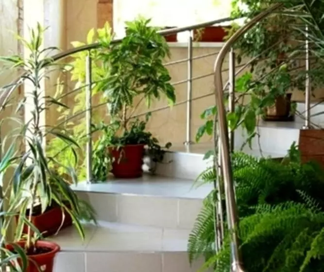 Fotos del hotel Edem:  11