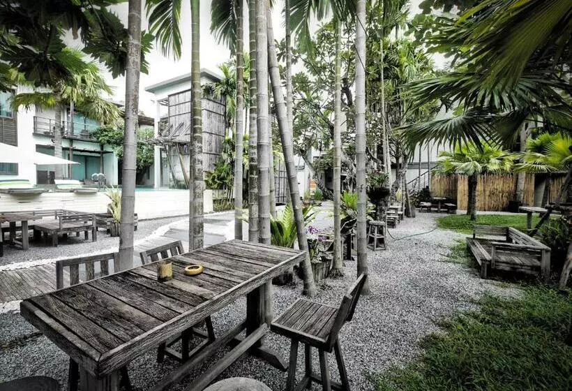 Fotos del hotel Paragon Inn:  4