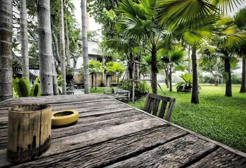 Fotos del hotel Paragon Inn:  15