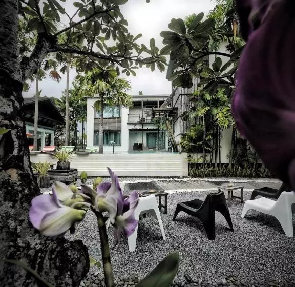 Fotos del hotel Paragon Inn:  24