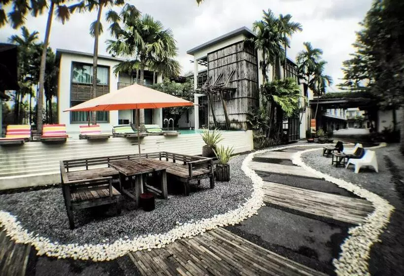 Fotos del hotel Paragon Inn:  23