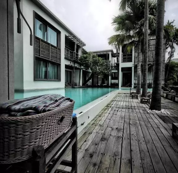 Fotos del hotel Paragon Inn:  7