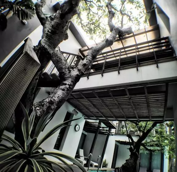 Fotos del hotel Paragon Inn:  19