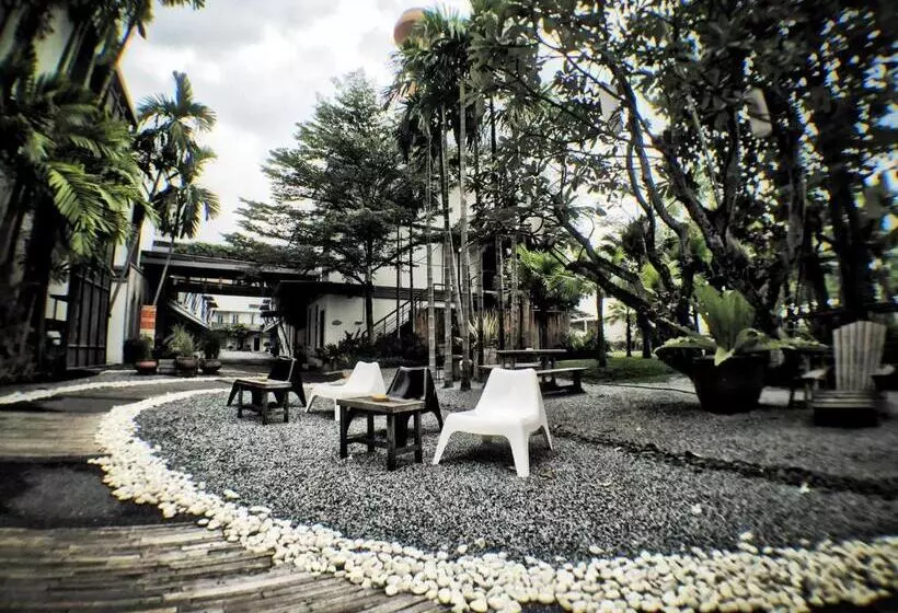 Fotos del hotel Paragon Inn:  17