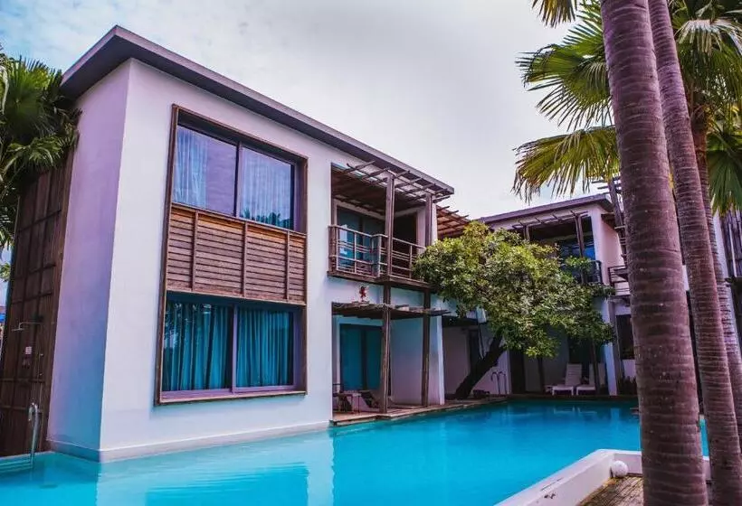 Fotos del hotel Paragon Inn:  10