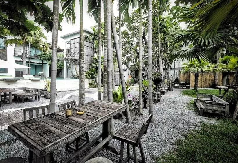 Fotos del hotel Paragon Inn:  12