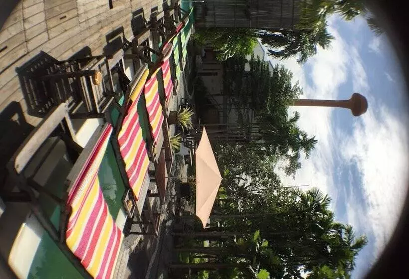 Fotos del hotel Paragon Inn:  9