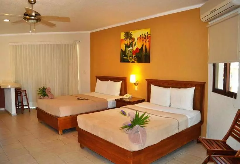 Fotos del hotel Tecnohotel Mérida Norte:  14