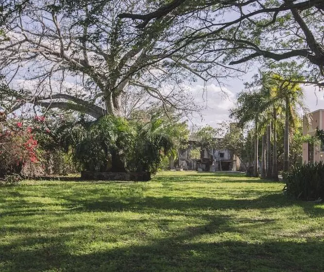 Fotos del hotel Hacienda Santuario Noc Ac, All Activities & Meeals Inclusive:  21