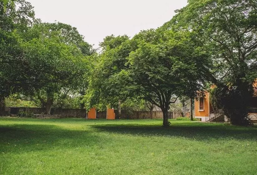 Fotos del hotel Hacienda Santuario Noc Ac, All Activities & Meeals Inclusive:  25