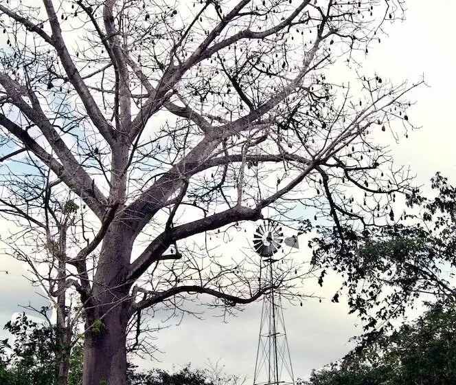 Fotos del hotel Hacienda Santuario Noc Ac, All Activities & Meeals Inclusive:  20