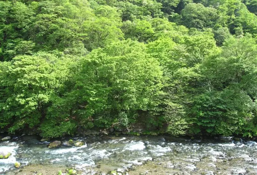 Fotos del hotel Koduchi No Yado Tsurukamedaikichi:  9