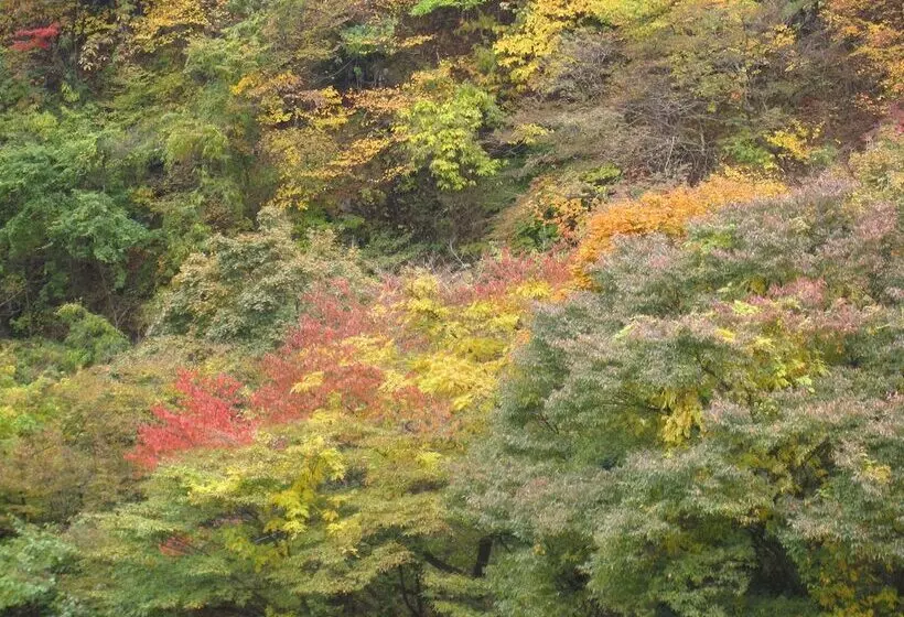 Fotos del hotel Koduchi No Yado Tsurukamedaikichi:  8