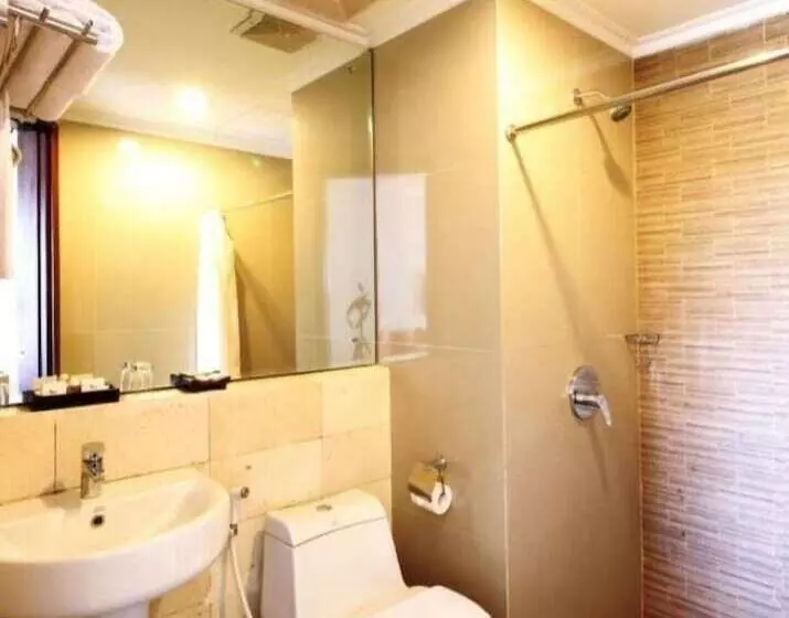 Fotos del hotel Colombo Yogyakarta:  7