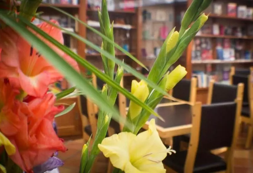 Fotos del hotel Axkan Arte Hotel San Cristobal:  12