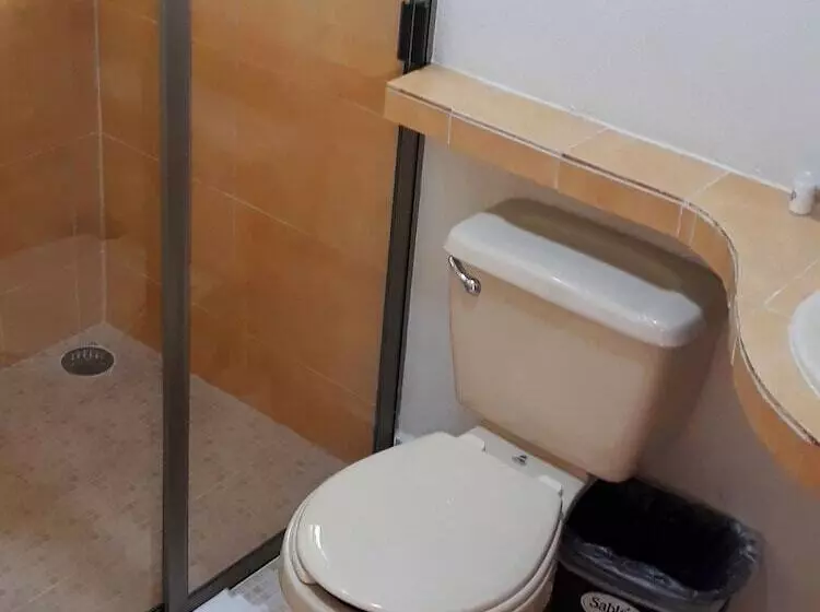 Fotos del hotel Axkan Arte Hotel San Cristobal:  11