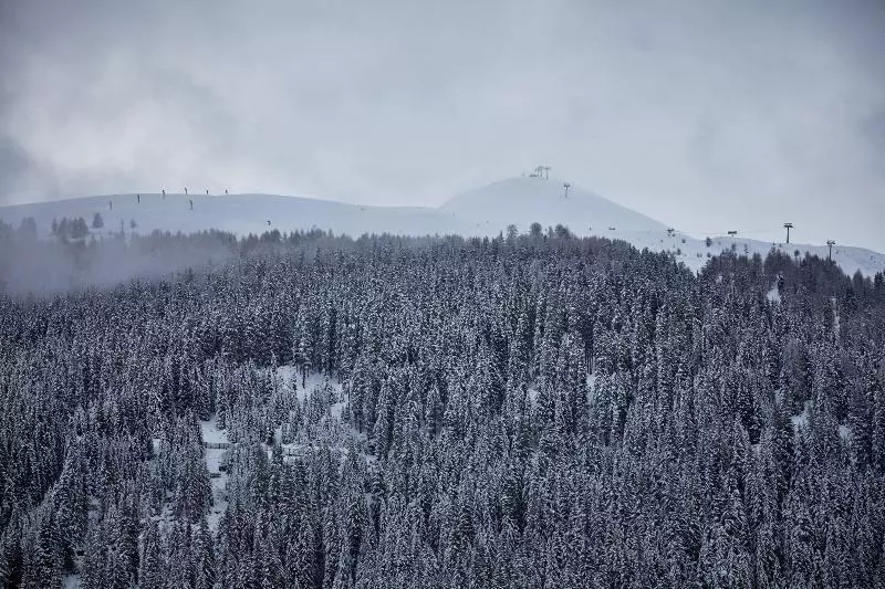 Fotos del hotel Hard Rock Hotel Davos:  11